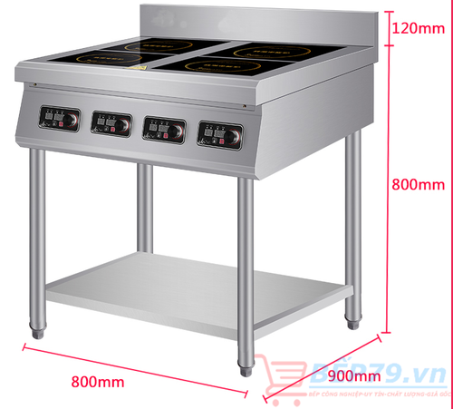 Bếp điện từ 4 họng ShinStar SSI-435